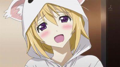 IS〈インフィニット・ストラトス〉から来ました！シャルロット･デュノアです！えーと…僕はちょっと百合寄りかな♪よろしくねー♪