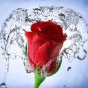 قصة وتر (@098Ssw) Twitter