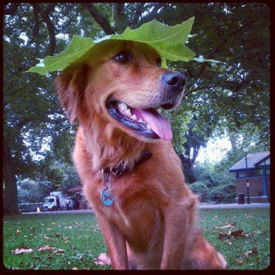 twilitsky's profile picture. not that important