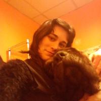 Luz de luna (@veronicaldl) 's Twitter Profile