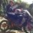 srikandisruntul's profile image
