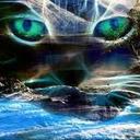 Allan Domínguez - @AllanMarvin22 - Twitter