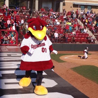 carolina_rhonda's profile picture. 