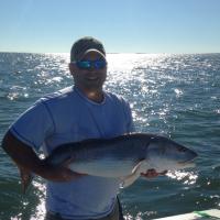 Matt Watson (@mattwatson52) 's Twitter Profile