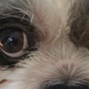 Leanna Murphy - @Leanna__Doll - Twitter