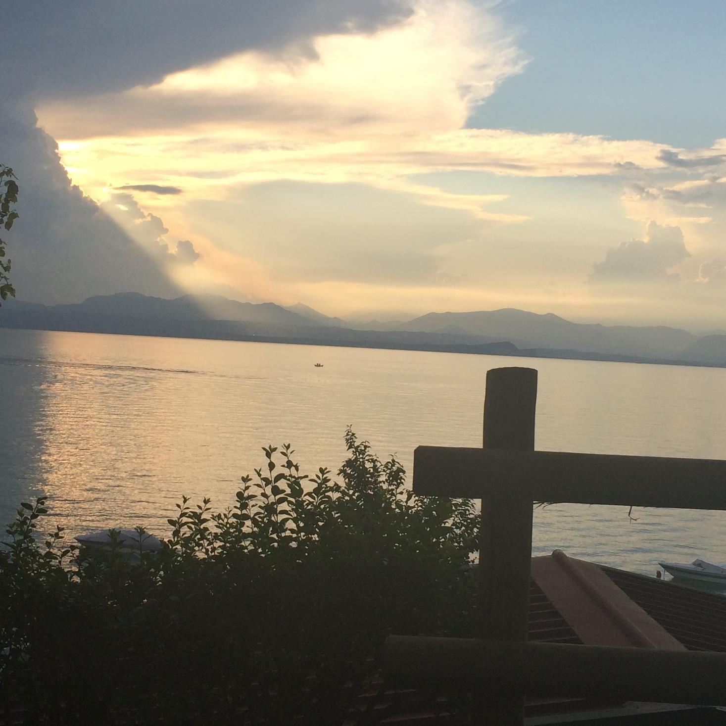 JOotes's profile picture. 