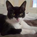 Joanne compton - @Joanne_compton - Twitter