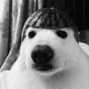 andrew david paddock - @andrewpaddock - Twitter