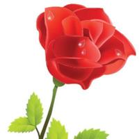 Tralee Advertiser (@traleeadverts) 's Twitter Profile