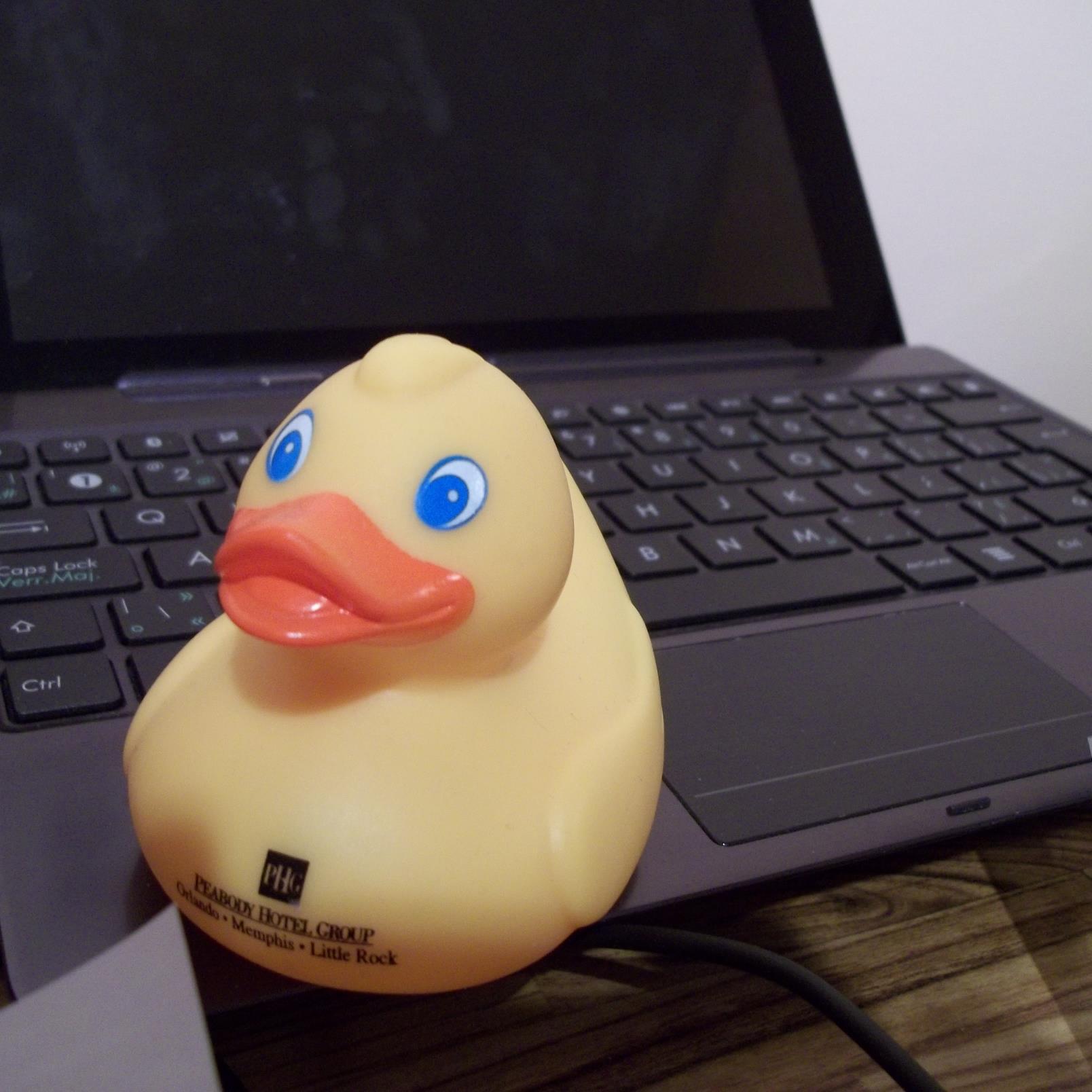 rb220610's profile picture. webmaster, political activist, photographer, master gardener (evergreen enthusiast), former sports official in trampoline & mini-tramp, diving , track & field,