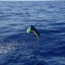 Larry LaPointe - @larrylapointe44 - Twitter