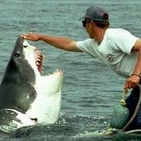 wpauldavies (@wpauldavies1) 's Twitter Profile