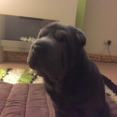 kris26taylor's profile picture. 