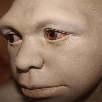 AntecessorHomo's profile picture. I am an extinct human species (I am the only one left) dating from 800,000 to 1.2 million years ago :D