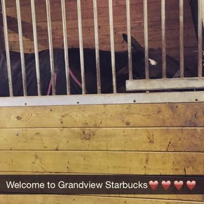 Starbucks❤️