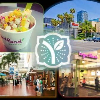 YLCenturyCity's profile picture. We pride ourselves with providing you the best experience and most delicous yogurt!