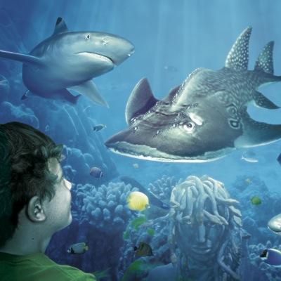 SEA LIFE Great Yarmouth is an aquarium dedicated to helping you understand the amazing underwater world!