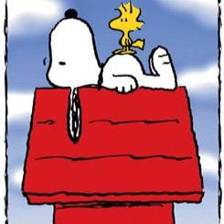 bohanlon73's profile picture. 