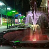 🌹 (@altaif_farm) Twitter profile photo