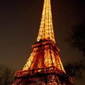 SaadKarkhi's profile picture. 