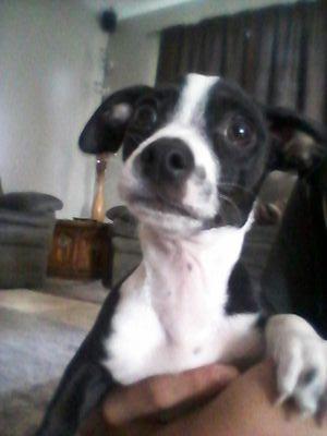 _6ix_'s profile picture. ehh