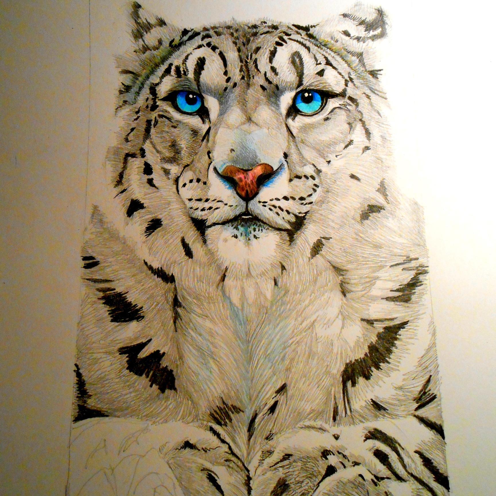 artist wildlife