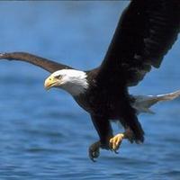 ali.almohymeed (@alialmohymeed) Twitter profile photo