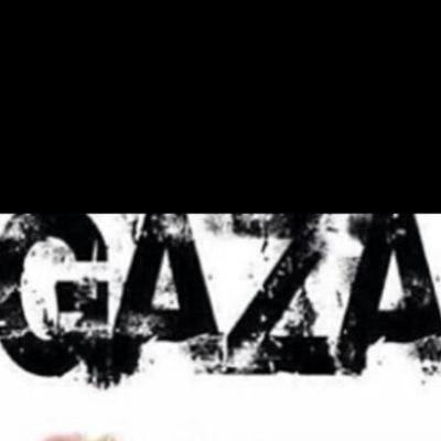 Falcen777's profile picture. 