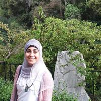 Hagar ElDidi (@hagareldidi) 's Twitter Profile