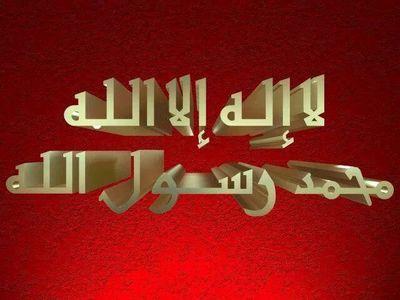ان لم اذد شيئا الي الكون؛فأنا زياده عليه