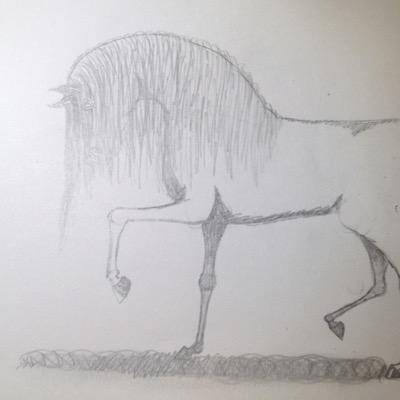 I love horses( and horseriding!!), dogs, drawing....