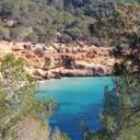 laura roig - @lauraroigibz - Twitter