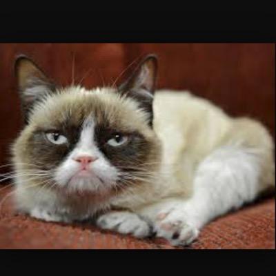 Mowglitz's profile picture. mow glitz and mow glamour