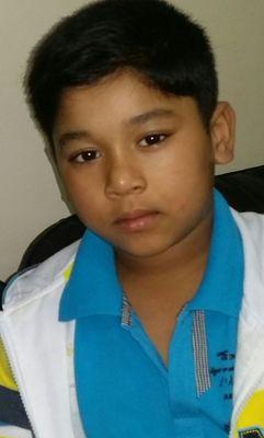 Domar
