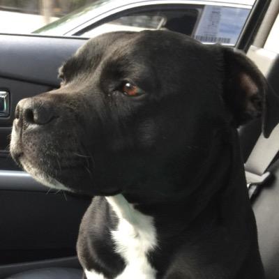 13Cuban's profile picture. God | Family | Vikings | American patriotism | Capitalism | MAGA | Love R flag/U.S. military | Blue lives matter | Hunting | Did I mention SKOL VIKINGS!!!