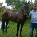 Leonel Rocha R - @LEONELROCHAR - Twitter