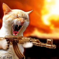 Spaz Cat (@funnylaughtrax) 's Twitter Profile