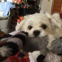 Barbara Lieb - @LiebBarbara - Twitter