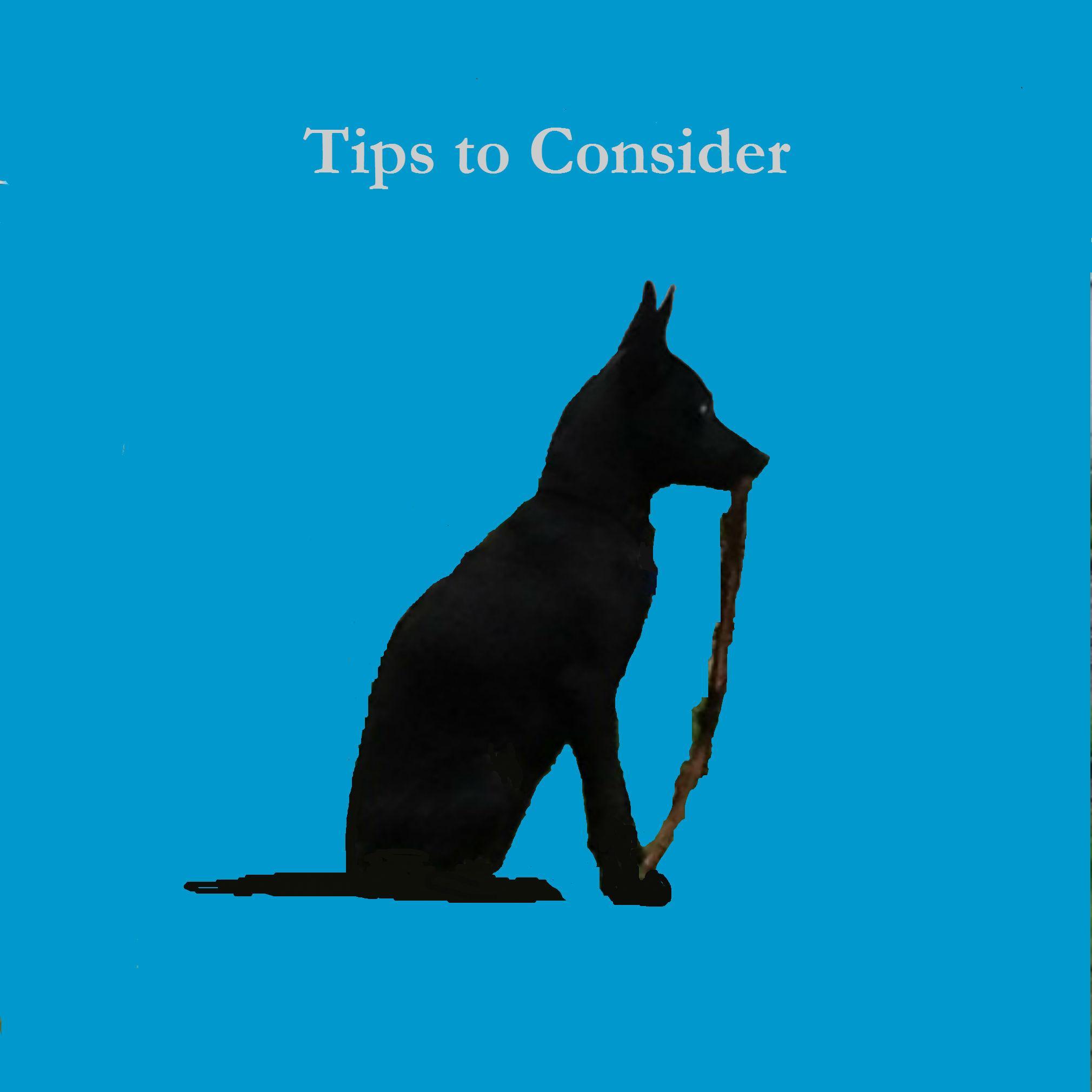 Short. Helpful. Articles. 

http://t.co/qBBJEi3Dhr