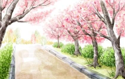 blossom_sbyj's profile picture. 블라썸♡블라썸