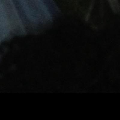 stewfinao1's profile picture. 