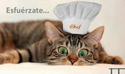 cesarmediogato's profile picture. Dios mi guia-Mis hijos mi vida- amarilló de corazón, cook, pastry and baker .