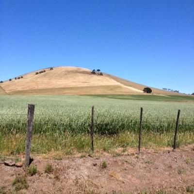 maryrasmussens's profile picture. Ear to the ground, hears rumblings.