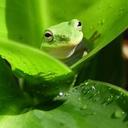 Tom Hurt - @kassady88 - Twitter