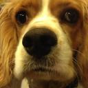 Nathan Mort - @NayMort - Twitter