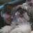 weezeysmom's profile image