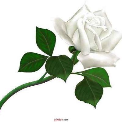 Angel23_1982's profile picture. 