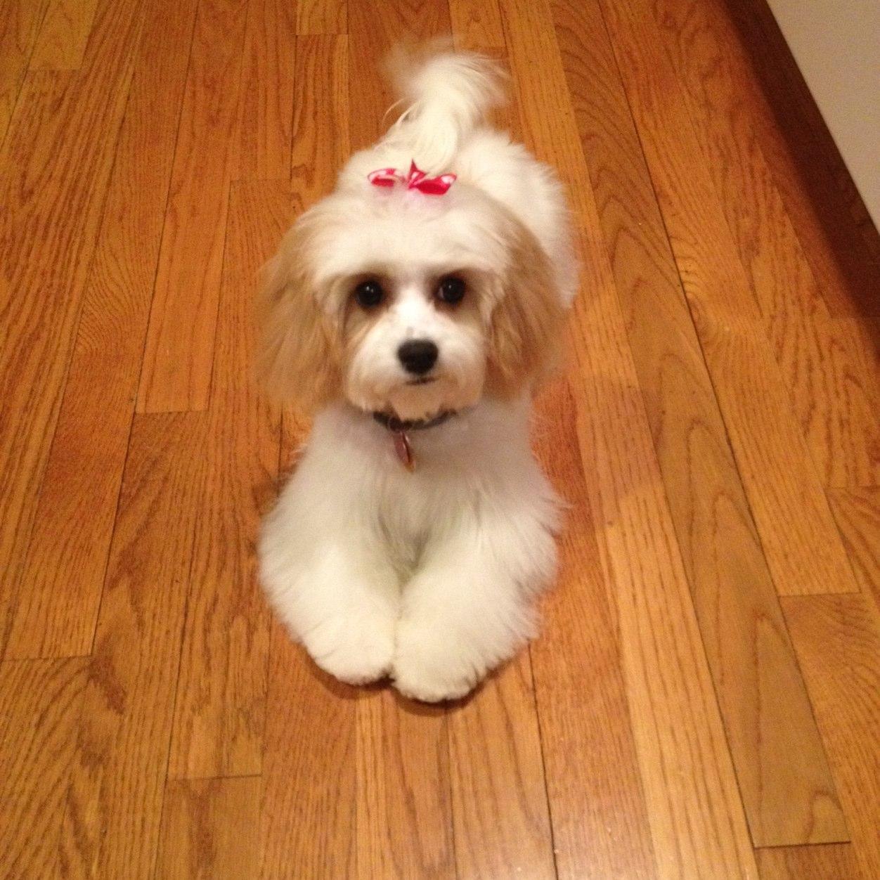 bfwlcw's profile picture. 