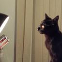 Mai Wright - @memaimoo - Twitter