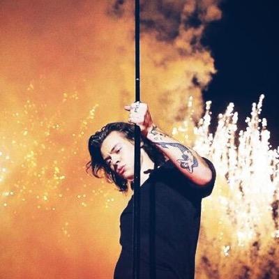 still not convinced harry styles is a real human being but hopefully one day he'll prove me wrong
